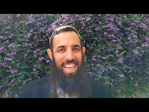 לעושה נפלאות גדולות - דבר תורה קצר לחג הפסח