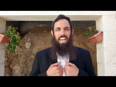 הרב ברוך אפרתי על פרשת בהעלותך - 'המדבר המקדים את ארץ ישראל'