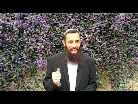 דבר תורה קצר לפרשת צו - ארץ ישראל היא תפארת האיזונים