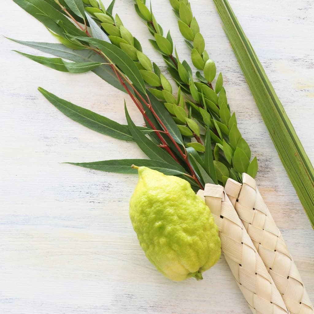 background of ראש השנה - כללי