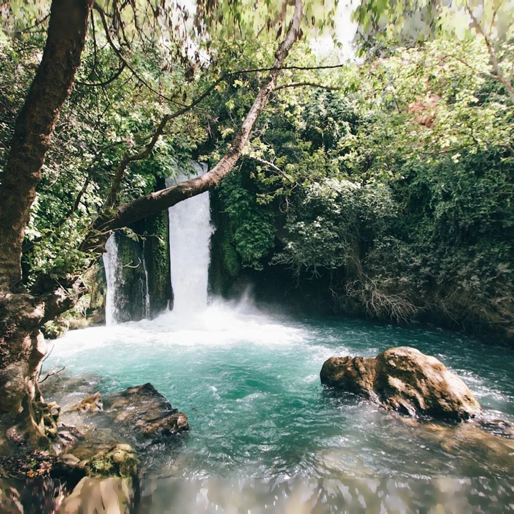 background of חוץ לארץ