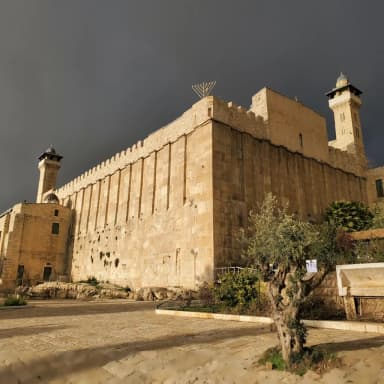 category of - פרשת השבוע